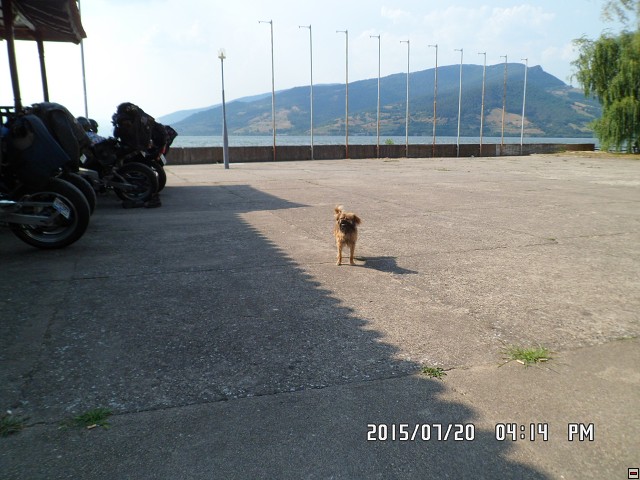 img00168.jpg