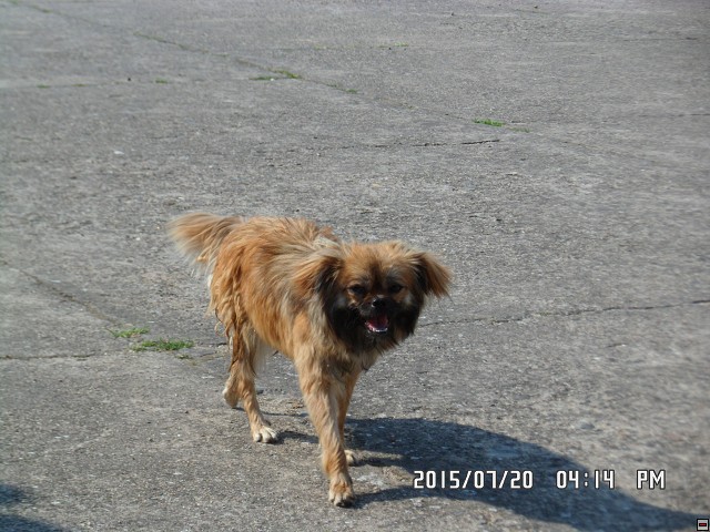 img00169.jpg