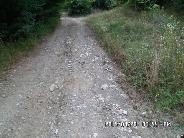 img00173.jpg