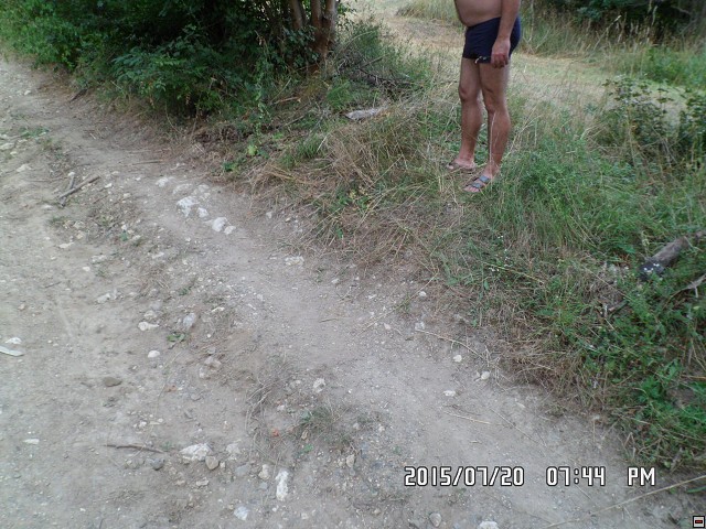 img00174.jpg