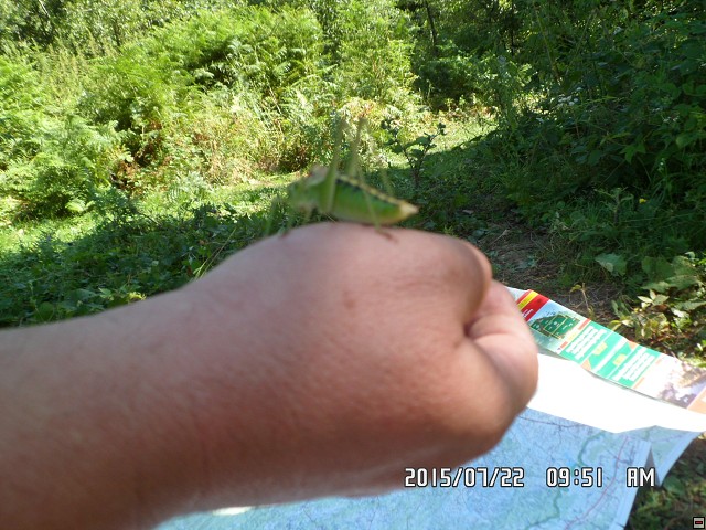 img00199.jpg