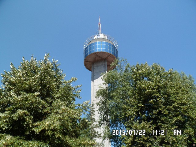 img00203.jpg