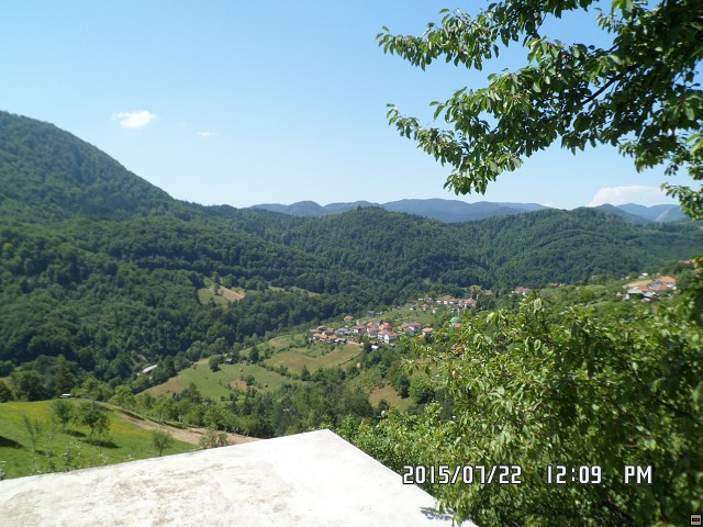 img00204.jpg