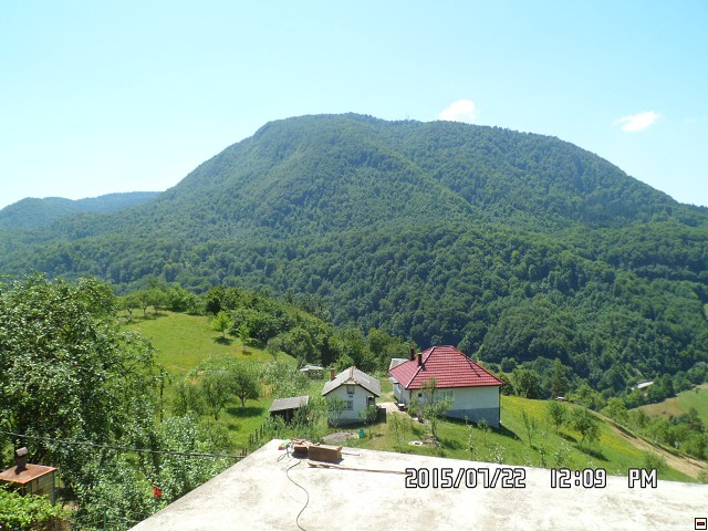 img00205.jpg
