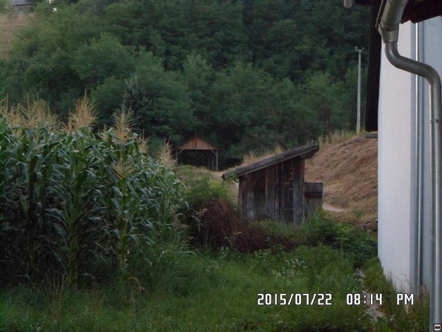 img00222.jpg