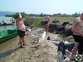 thn00115.jpg