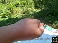 thn00199.jpg