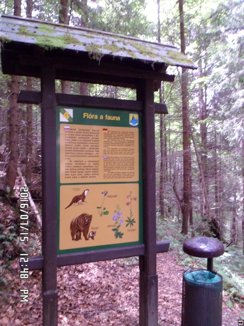 img00077.jpg