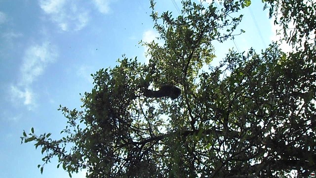 img00092.jpg