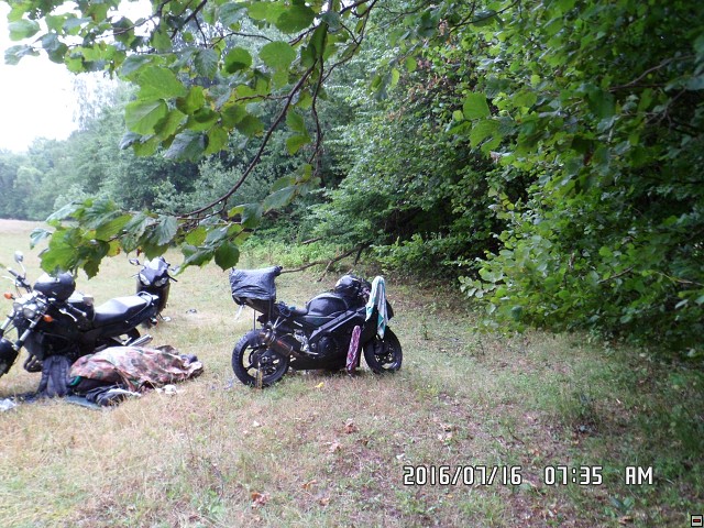 img00101.jpg