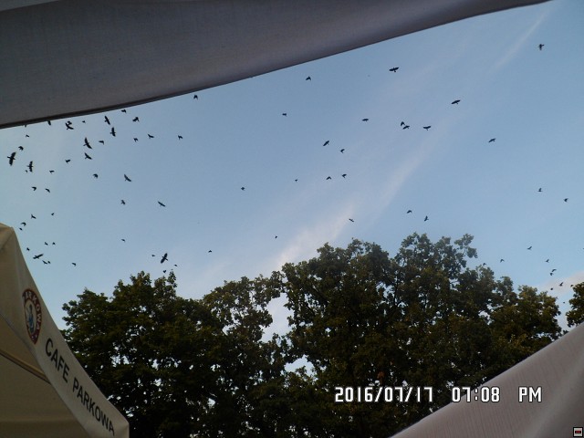 img00156.jpg