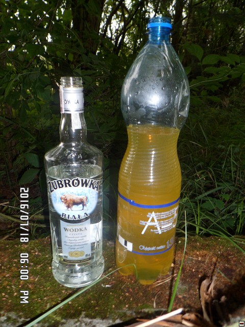 img00194.jpg