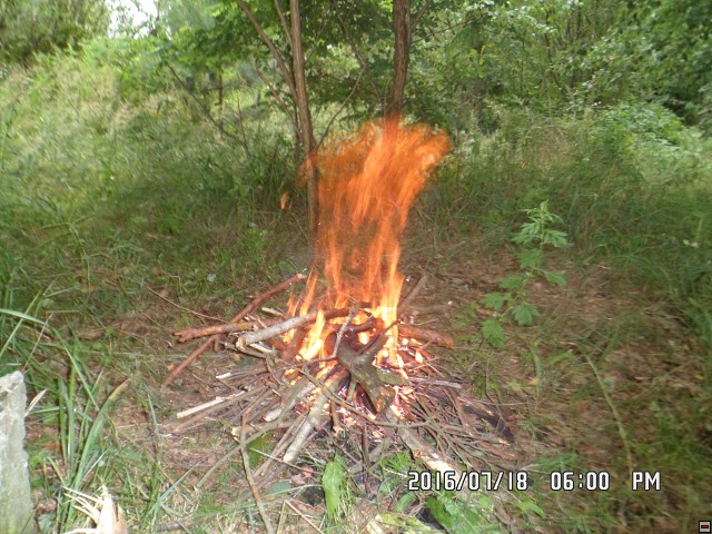 img00195.jpg