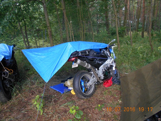 img00228.jpg