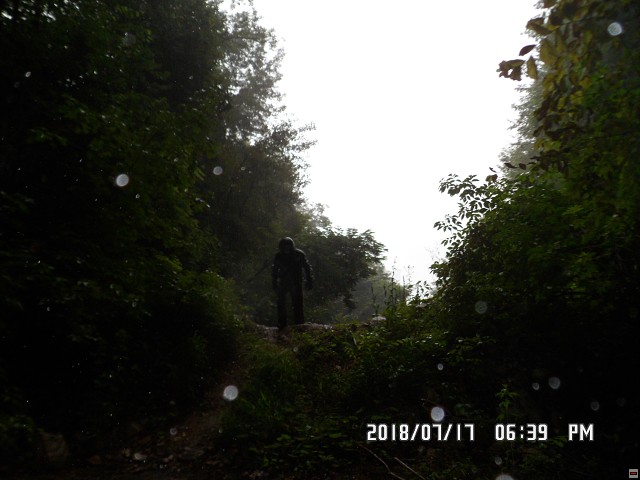 img00090.jpg