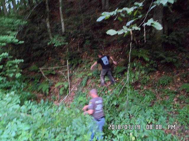 img00124.jpg