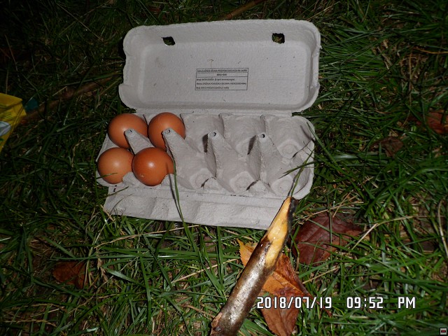 img00133.jpg