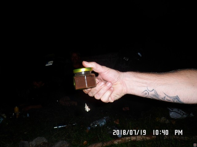 img00135.jpg