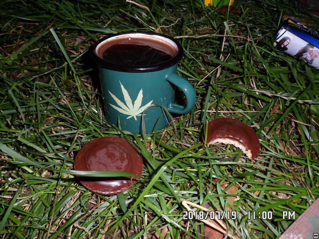 img00137.jpg