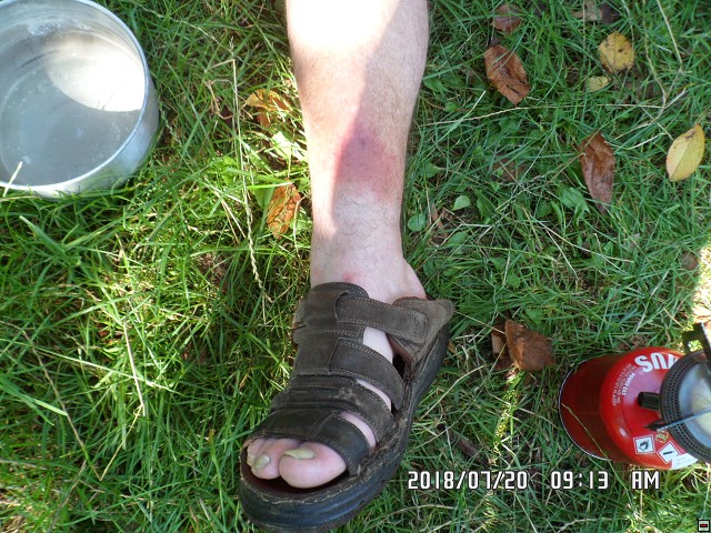 img00142.jpg