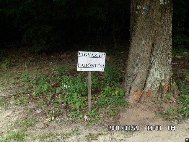 img00161.jpg
