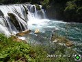 thn00108.jpg