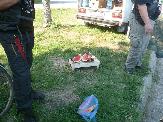 img00110.jpg