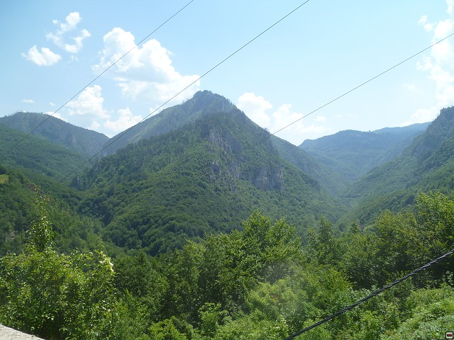 img00172.jpg