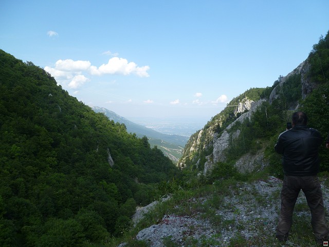 img00184.jpg