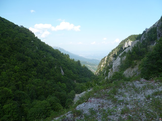 img00185.jpg