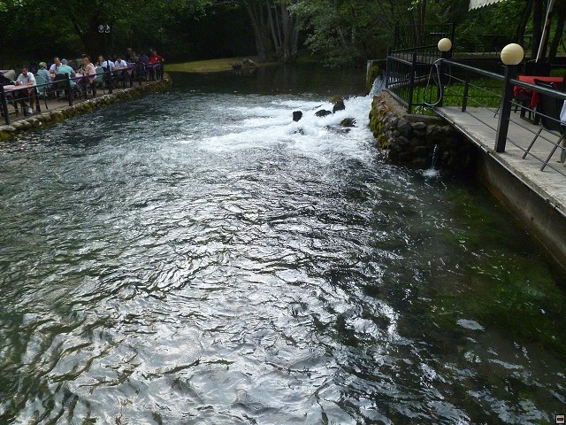 img00191.jpg