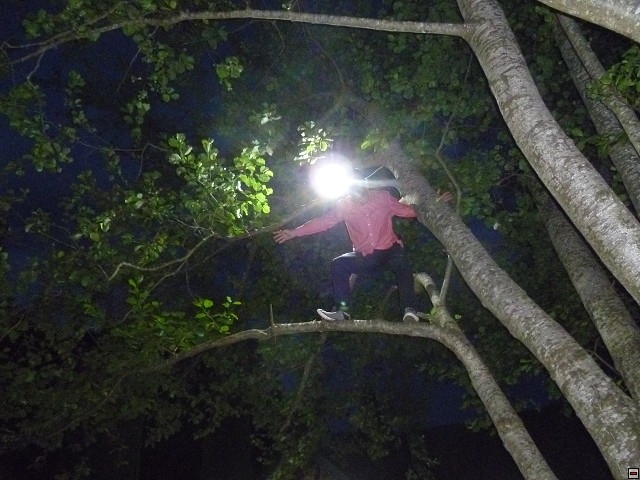 img00196.jpg