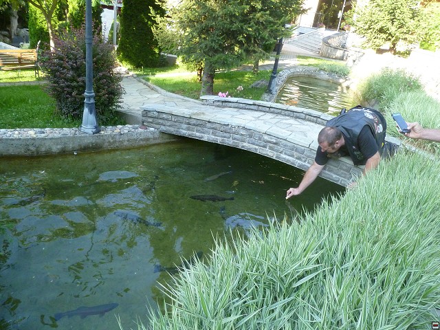 img00198.jpg