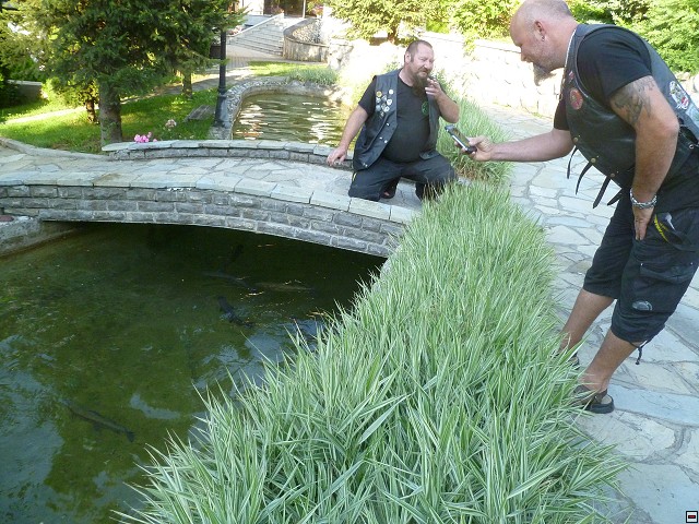 img00199.jpg