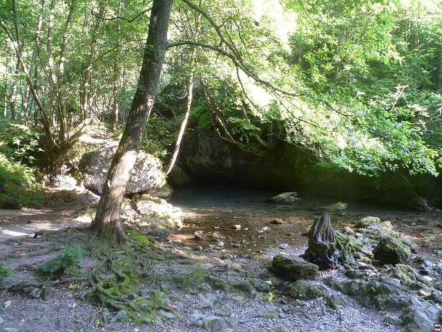 img00200.jpg