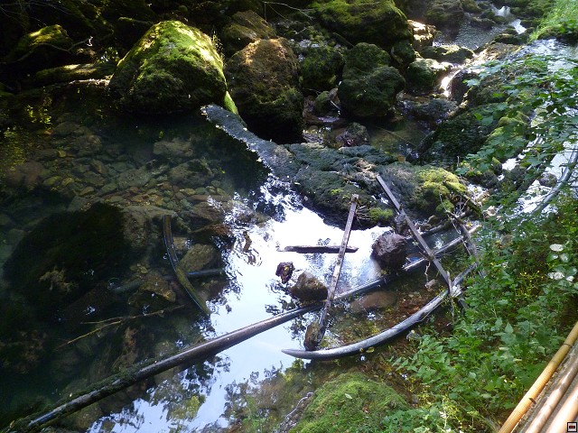 img00201.jpg