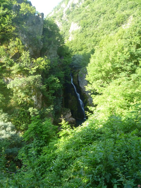 img00207.jpg