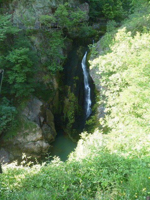 img00208.jpg