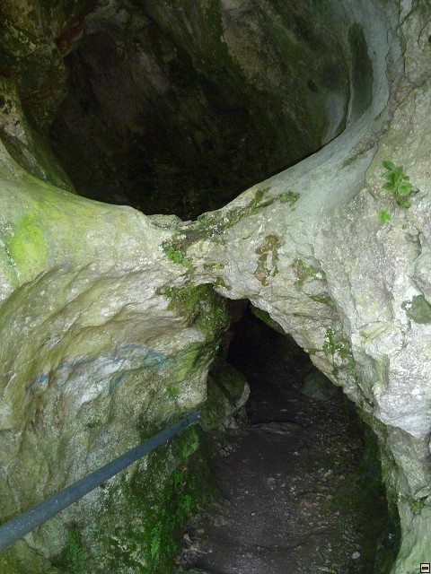 img00216.jpg