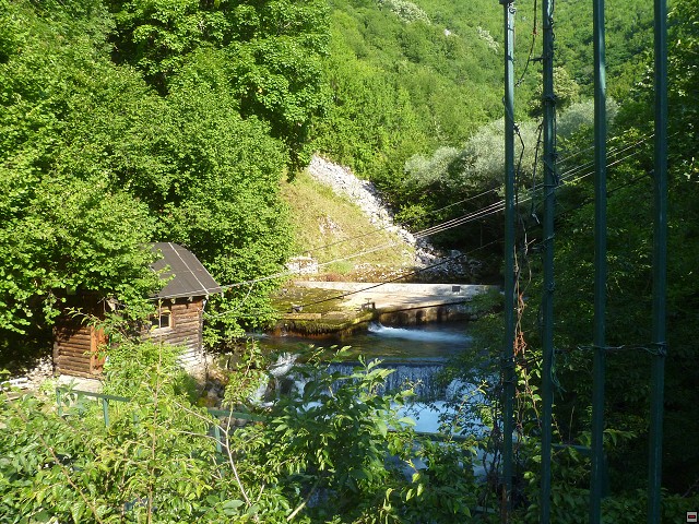 img00217.jpg