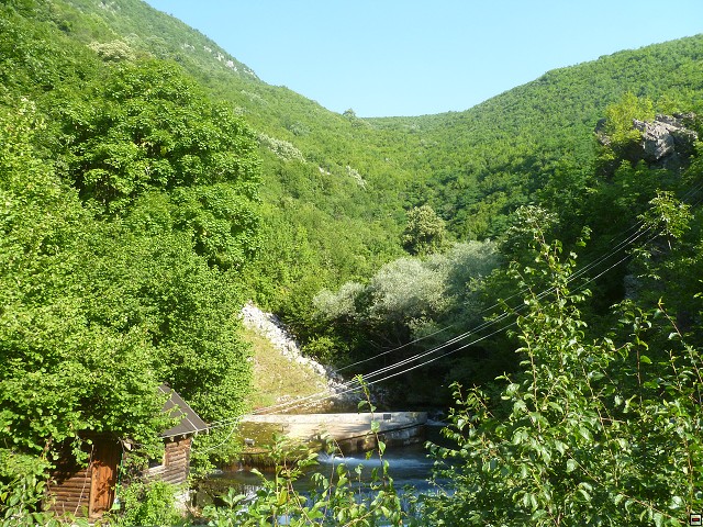 img00218.jpg