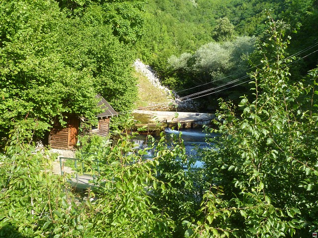 img00219.jpg