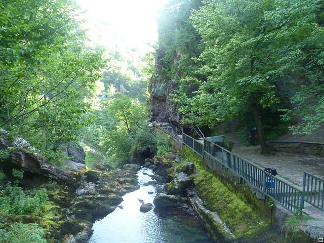 img00220.jpg
