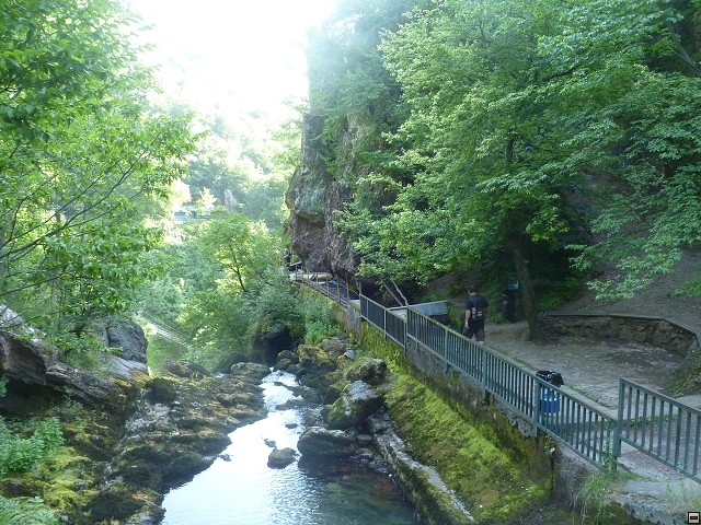 img00221.jpg