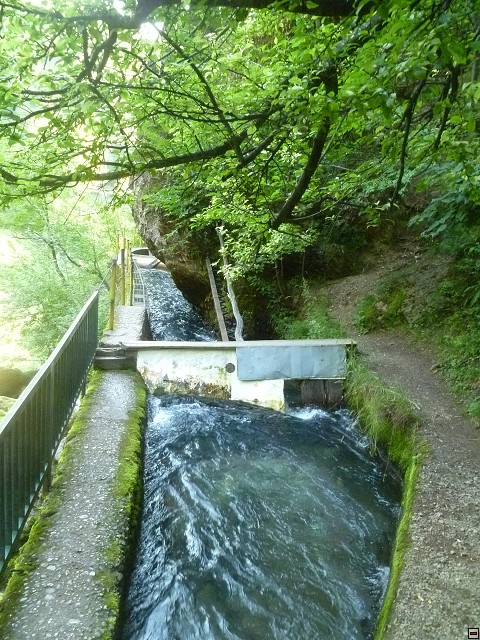 img00222.jpg