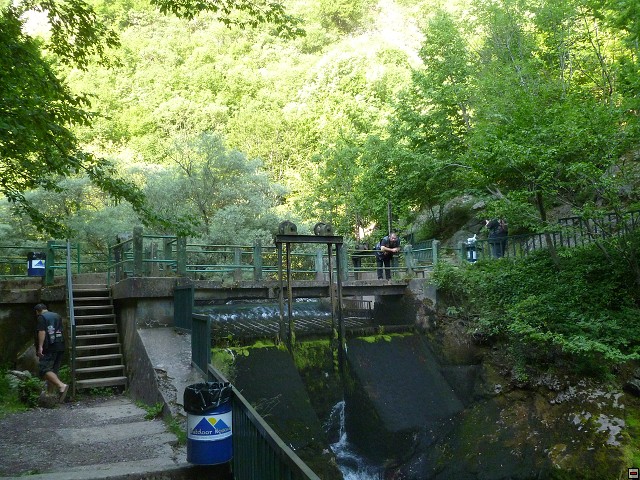img00223.jpg