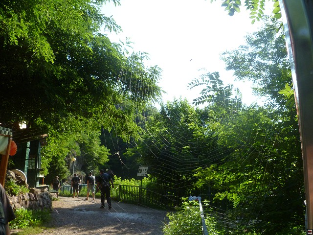 img00224.jpg