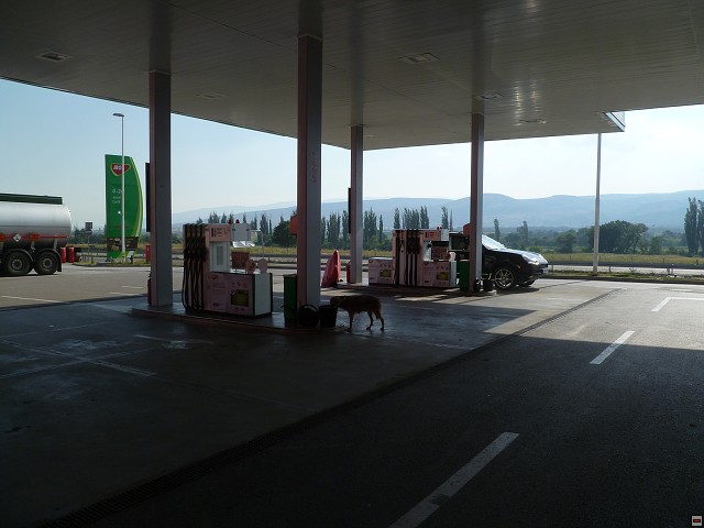 img00236.jpg