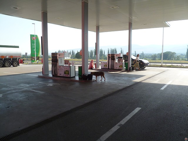 img00237.jpg