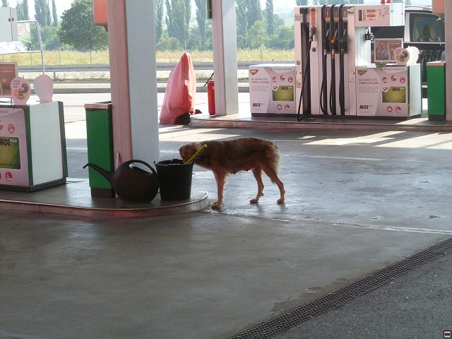 img00238.jpg